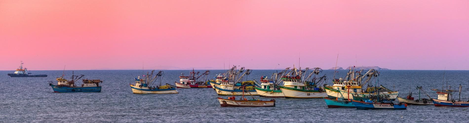 ALL ABOUT PARACAS