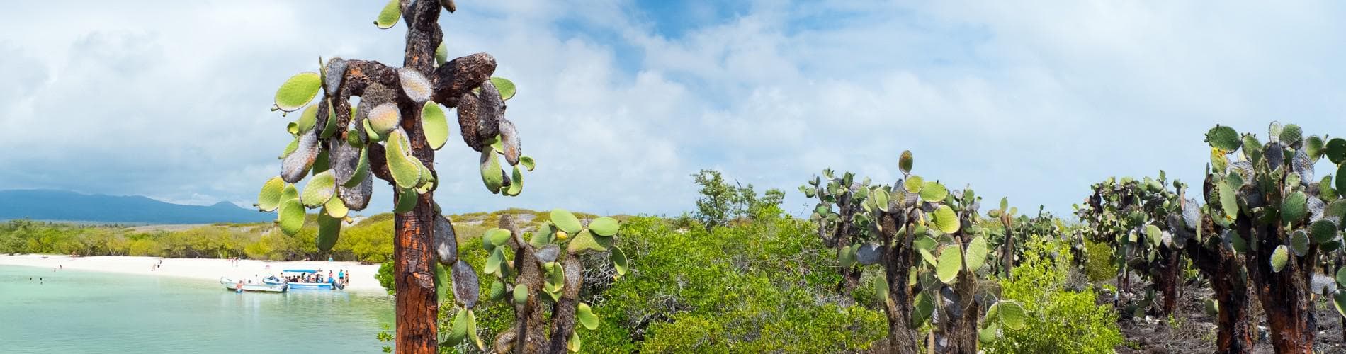 Galapagos From Guayaquil