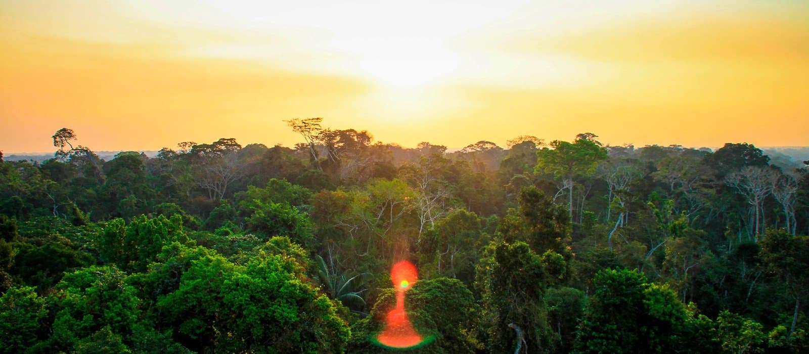 Discover Madre de Dios Travel Packages