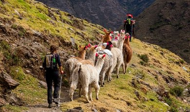 Lares Trek & Machu Picchu