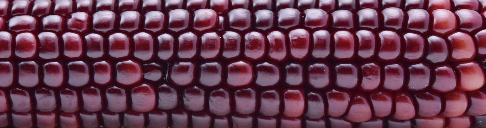 A Sweet Journey Through Peru- A Guide to Traditional Peruvian Desserts