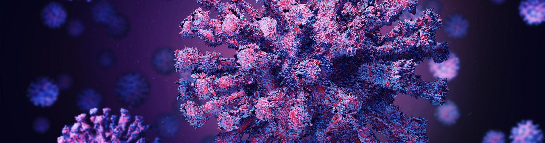 Coronavirus Update in Peru March 1st, 2022