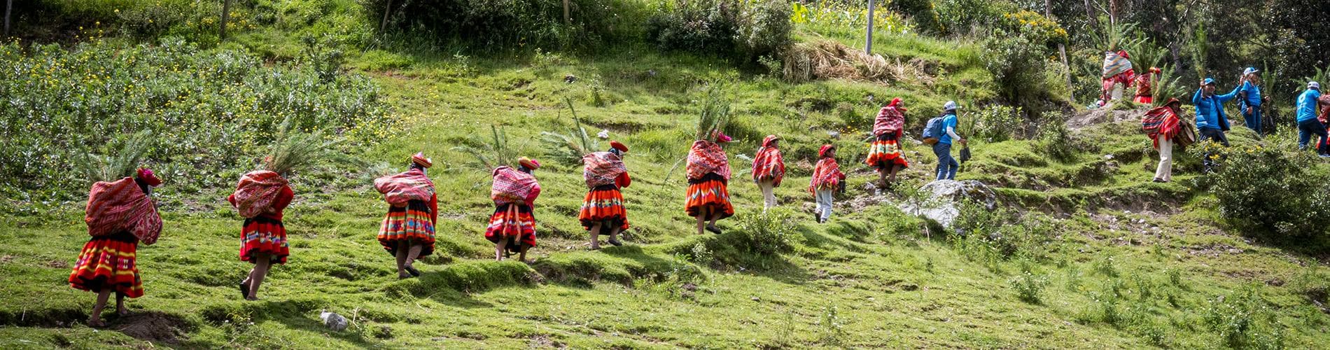 Reforestation Efforts in The Remote Communities of Cusco By Valencia Travel