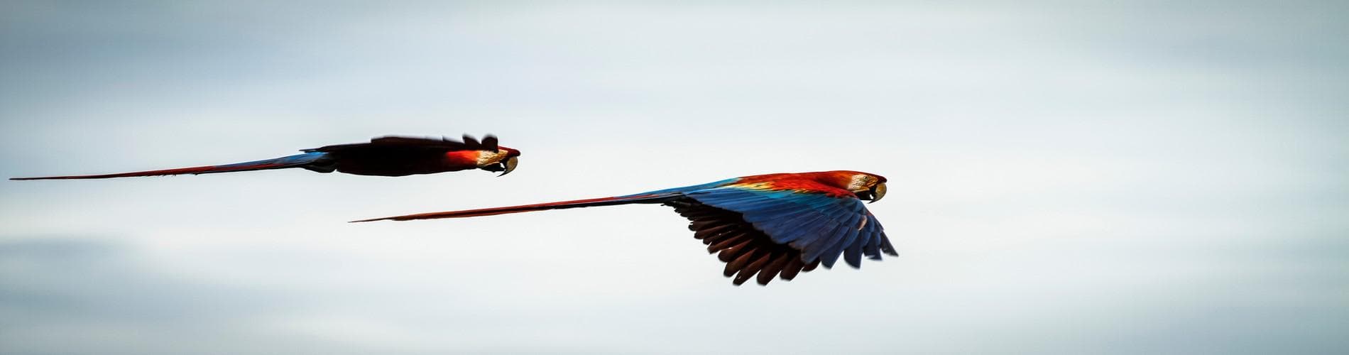 The best Sustainable Activities in Peru