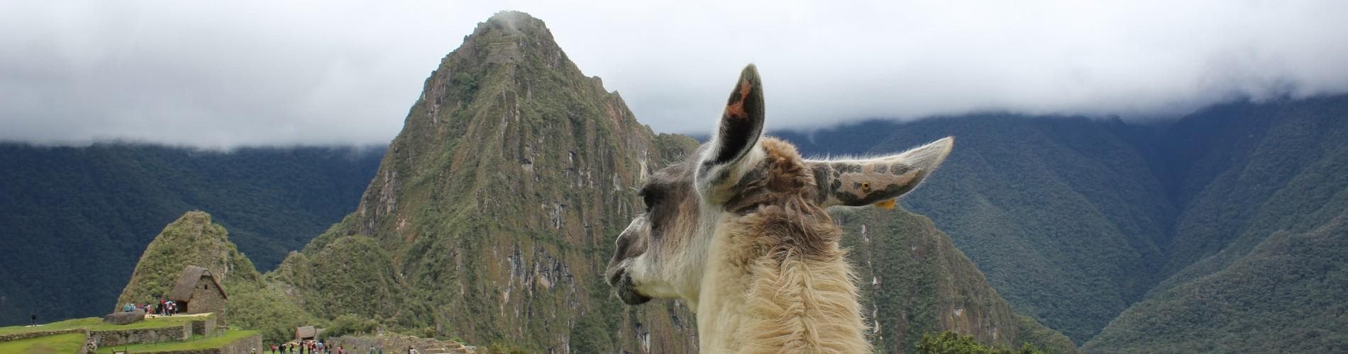 La situación política actual en Perú (10/3/23)