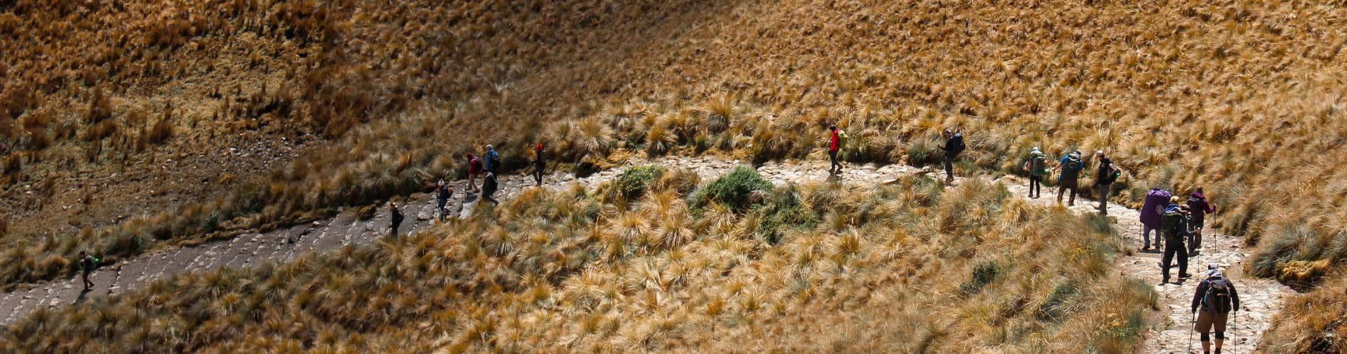 Todo lo que necesita saber sobre el Camino Inca a Machu Picchu